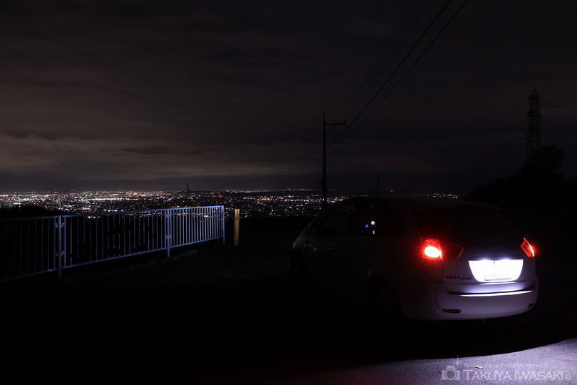 稲葉山 観光ビュースポットの夜景スポット写真（4）