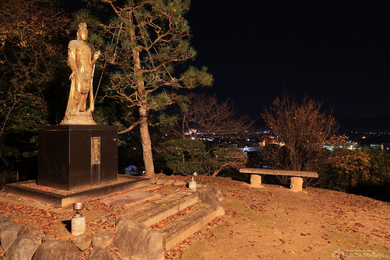 朝日山公園 東見晴らし台の夜景スポット写真（2）