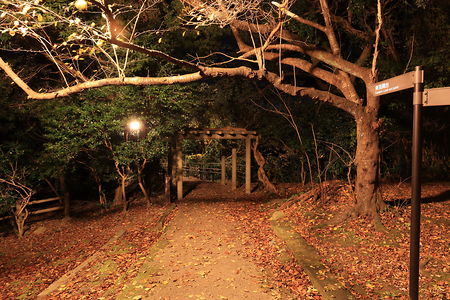 朝日山公園 東見晴らし台の夜景スポット写真（3）class=
