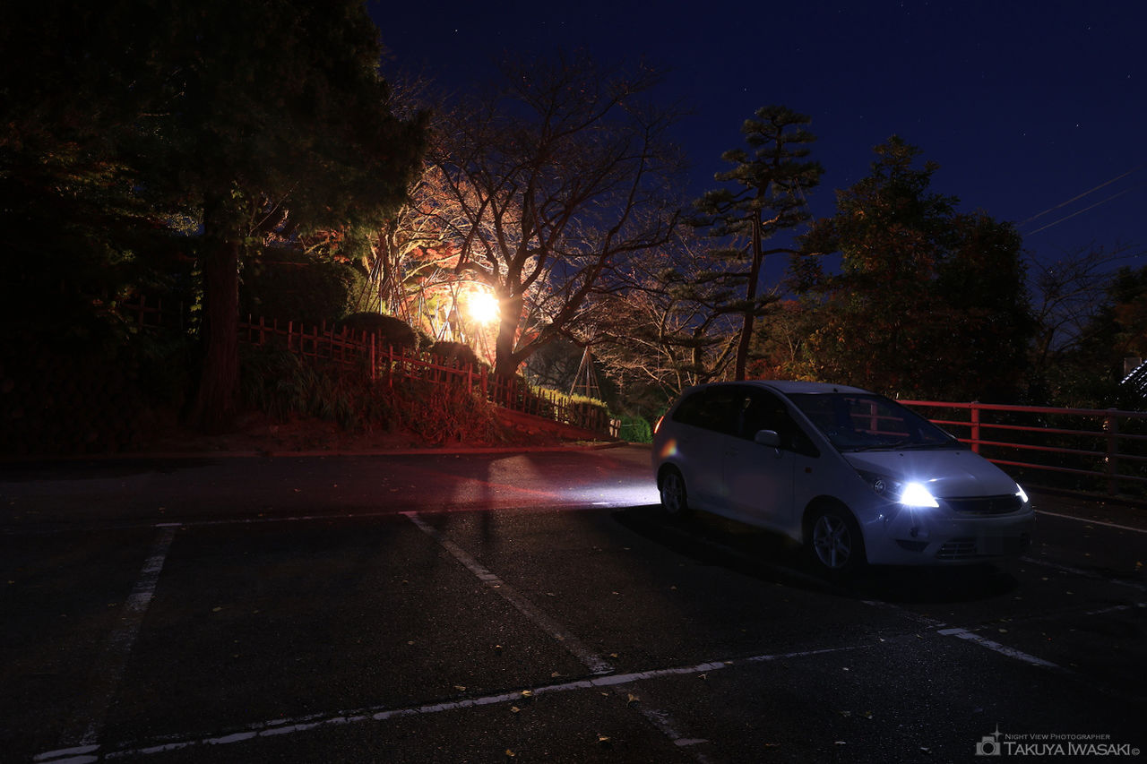 朝日山公園 東見晴らし台の夜景スポット写真（4）