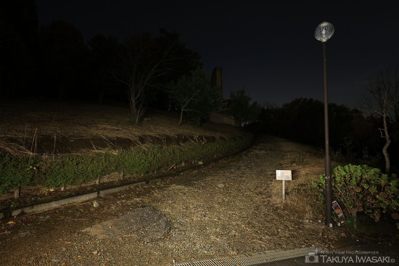 魚津桃山運動公園 展望の丘の夜景スポット写真（5）
