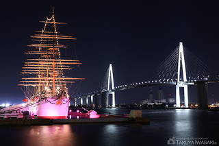 ライトアップされた海王丸と新湊大橋を望む