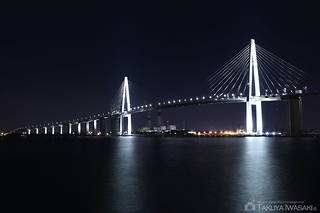 新湊大橋と火力発電所方面を望む