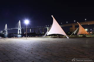 みなとオアシス 海王丸パークの夜景スポット写真（6）class=