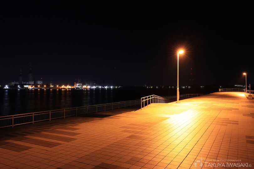 開港記念碑緑地広場の夜景スポット写真（6）