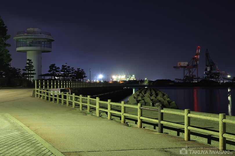南水路緑地公園の夜景スポット写真（6）