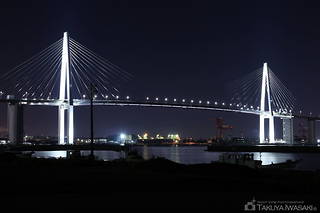 ライトアップされた新湊大橋を望む