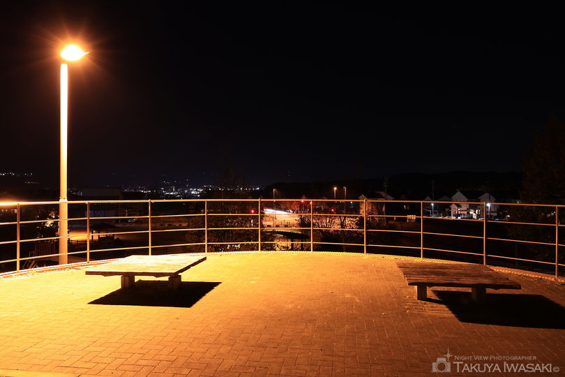 学園都市中央公園の夜景スポット写真（5）