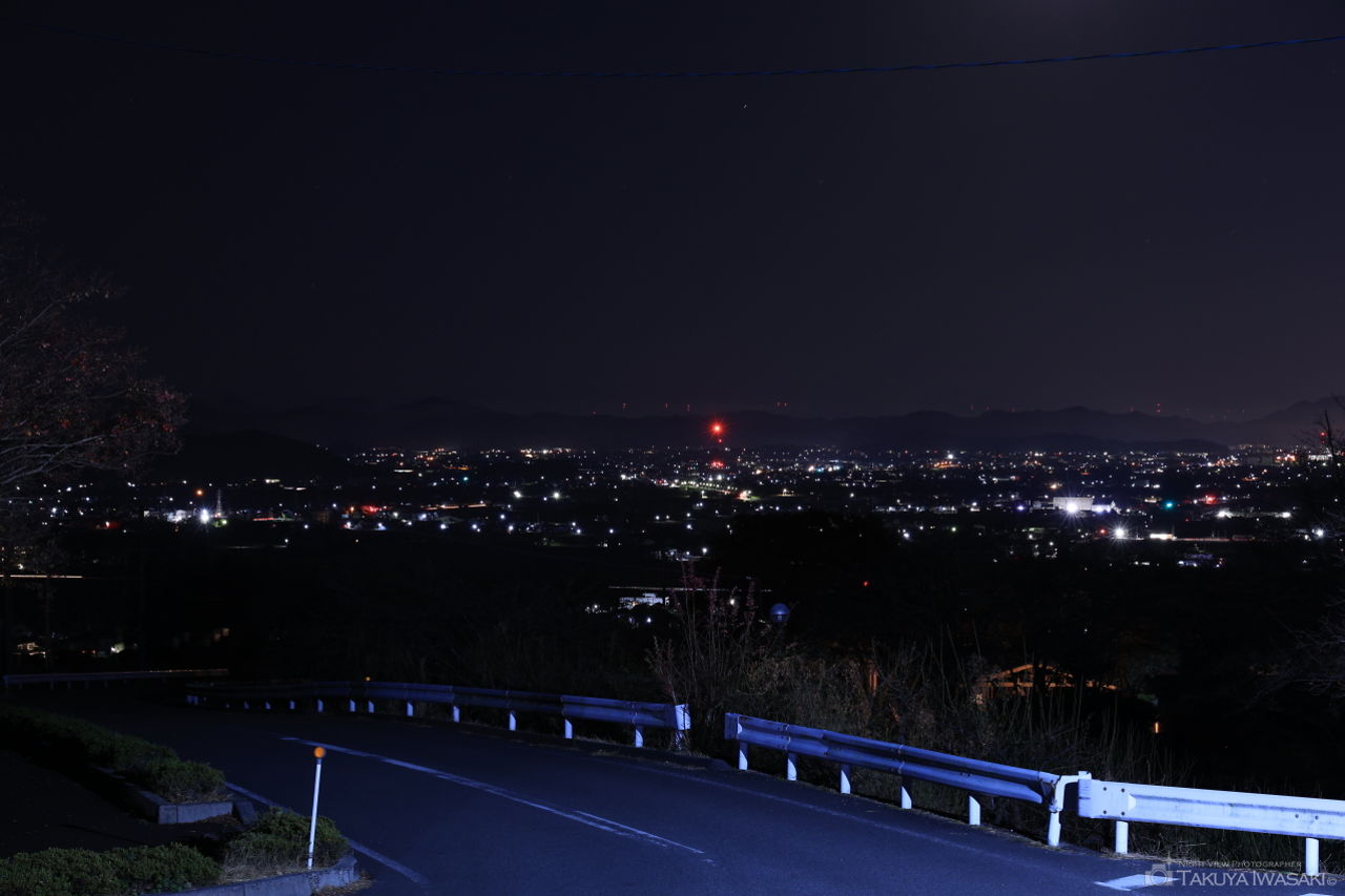 大津谷梅園の夜景スポット写真（1）