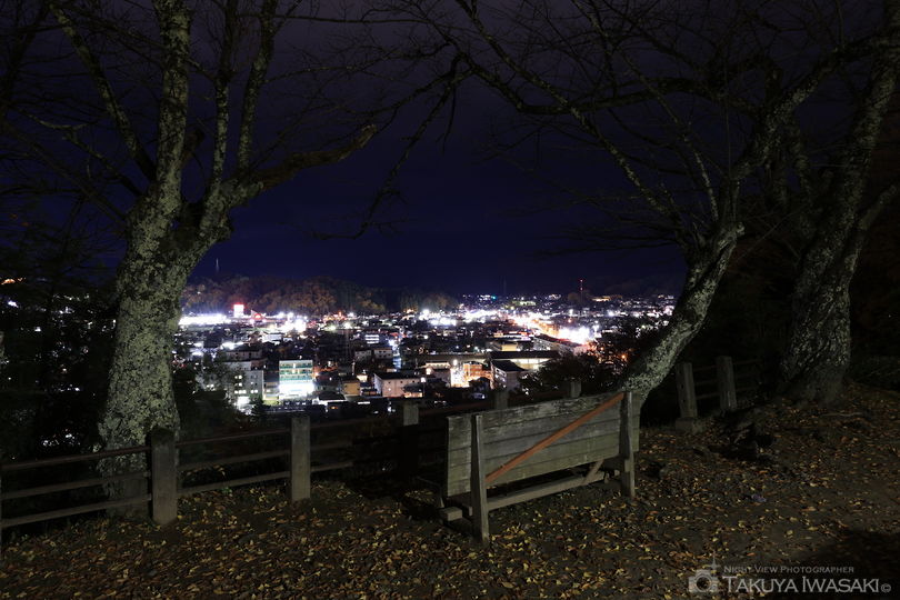 北山公園 鮎崎城址公園の夜景スポット写真（3）