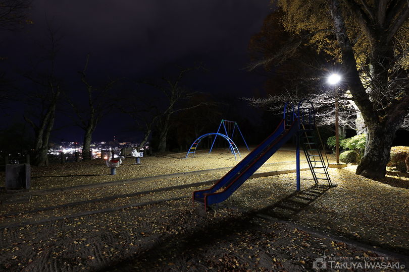 北山公園 鮎崎城址公園の夜景スポット写真（5）