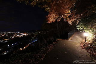高山市立 文化伝承館の夜景スポット写真（3）class=