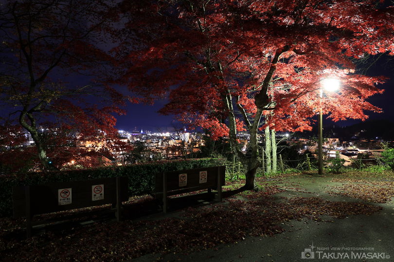 高山市立 文化伝承館の夜景スポット写真（4）