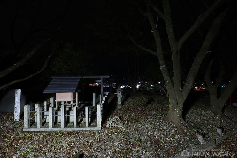 神明神社の夜景スポット写真（3）