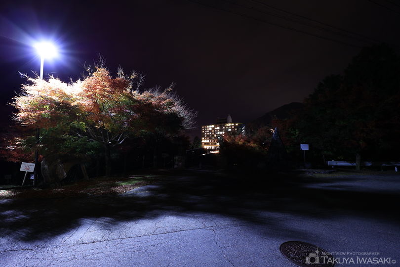 縄文橋の夜景スポット写真（5）