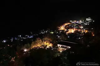 郡上八幡城の夜景