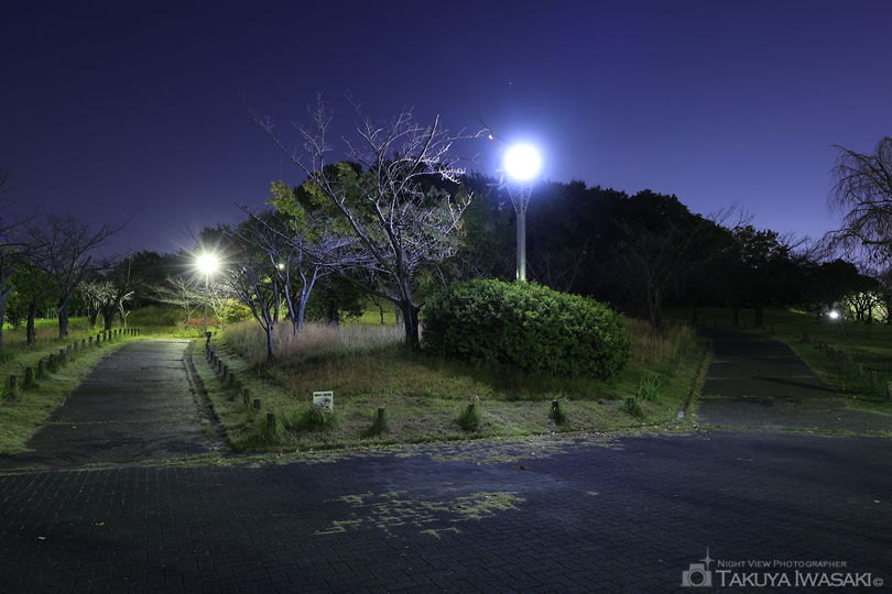 藤が丘デザイン公園の夜景スポット写真（5）