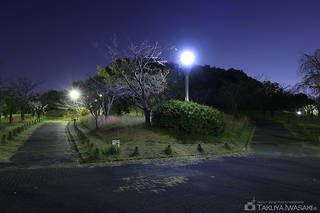 藤が丘デザイン公園の夜景スポット写真（5）class=