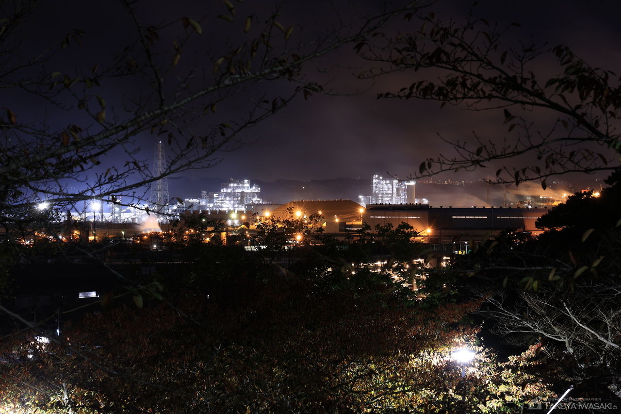 日和山公園 筆塚碑前の夜景スポット写真（3）