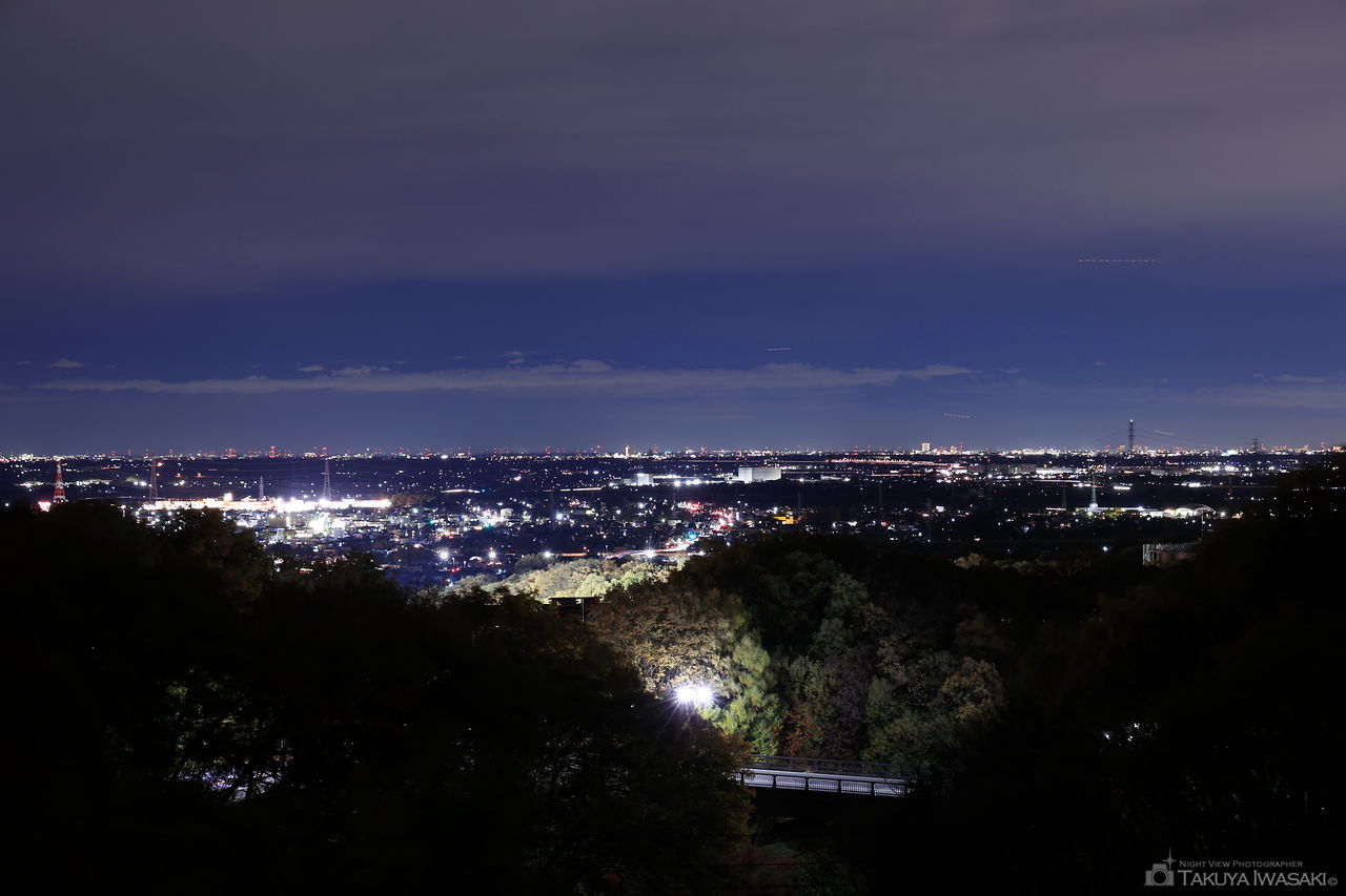 物見山公園の夜景スポット写真（1）