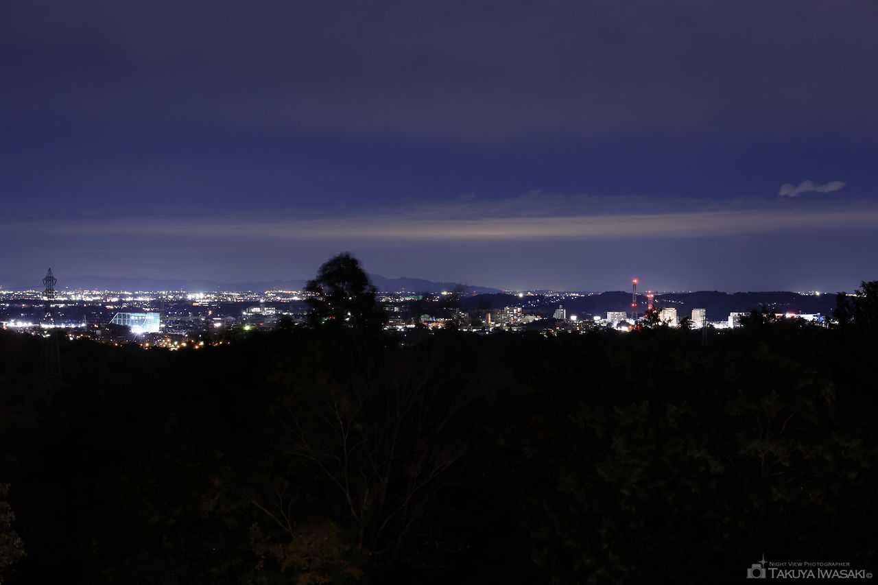 物見山公園の夜景スポット写真（2）