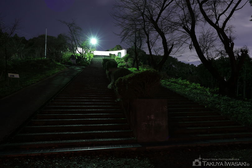 世界無名戦士之墓の夜景スポット写真（5）