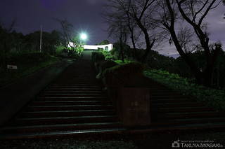世界無名戦士之墓の夜景スポット写真（5）class=