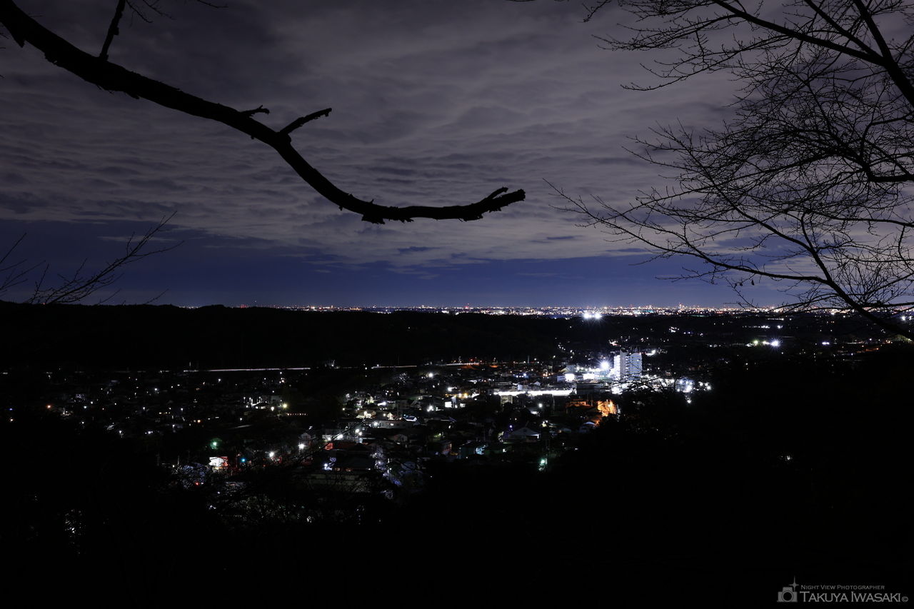 さくらの山公園の夜景スポット写真（1）