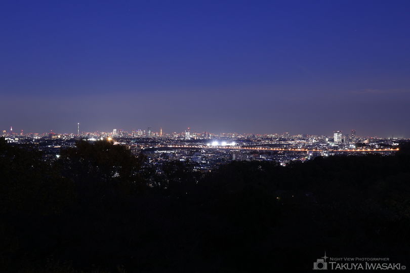 枡形山展望台の夜景スポット写真（2）