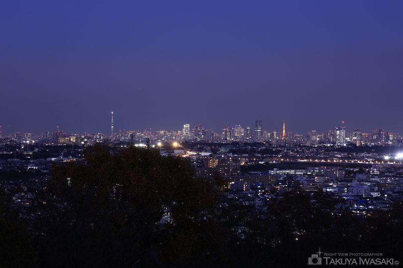 枡形山展望台の夜景スポット写真（3）