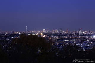 東京タワーと東京スカイツリーを望む