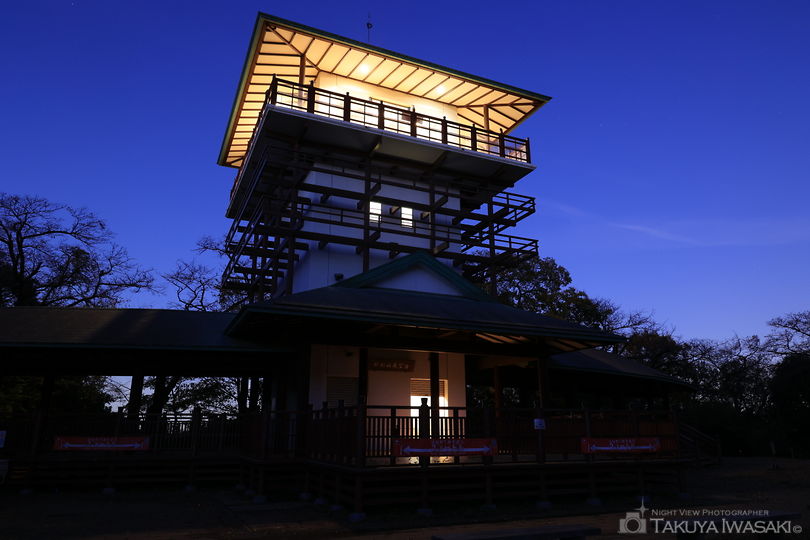 枡形山展望台の夜景スポット写真（6）