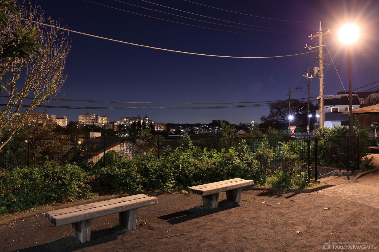 百合丘３丁目ふれあい公園の夜景スポット写真（5）