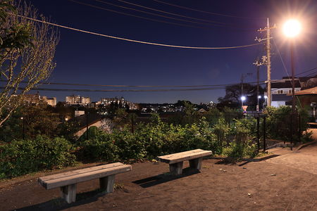 百合丘３丁目ふれあい公園の夜景スポット写真（5）class=