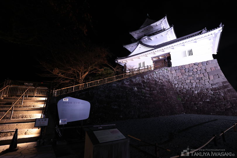 小田原城址公園の夜景スポット写真（2）