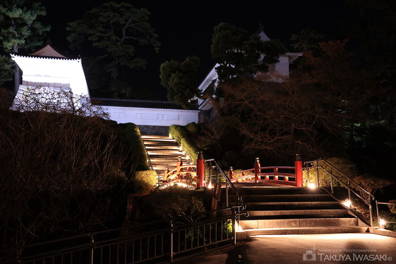 小田原城址公園の夜景スポット写真（5）