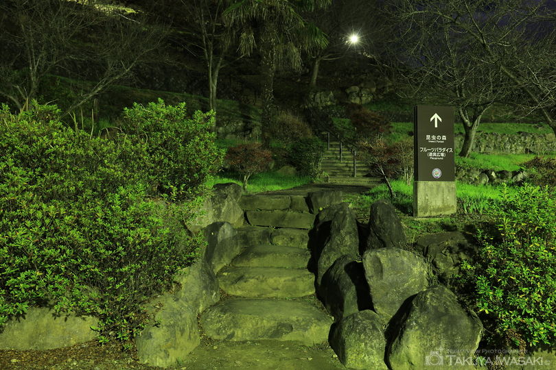 塩山ふれあいの森総合公園の夜景スポット写真（5）