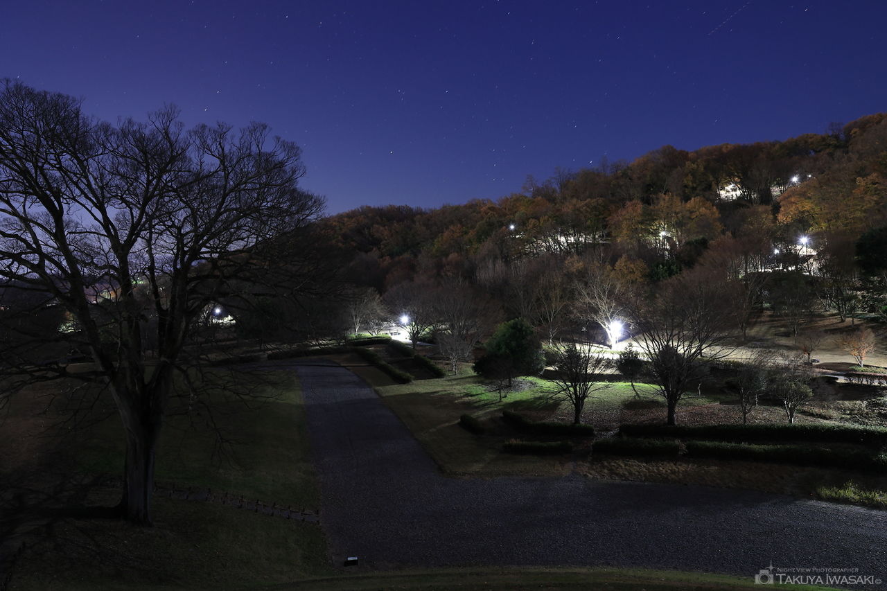 曽根丘陵公園 銚子塚古墳の夜景スポット写真（4）