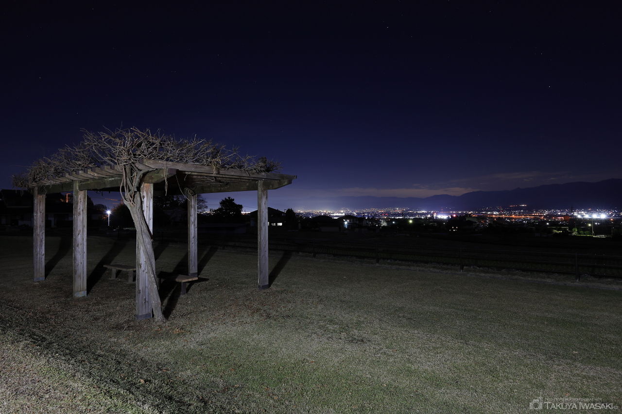 新利根川河川公園の夜景スポット写真（3）