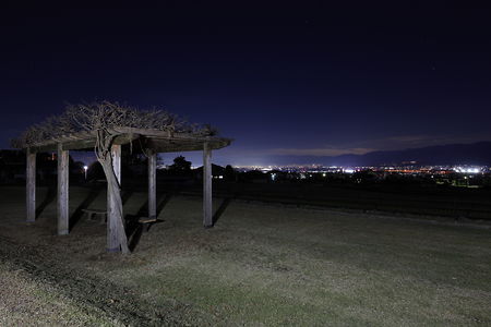新利根川河川公園の夜景スポット写真（3）class=