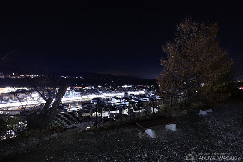 観音山公園の夜景スポット写真（4）