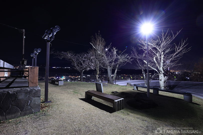観音山公園の夜景スポット写真（5）