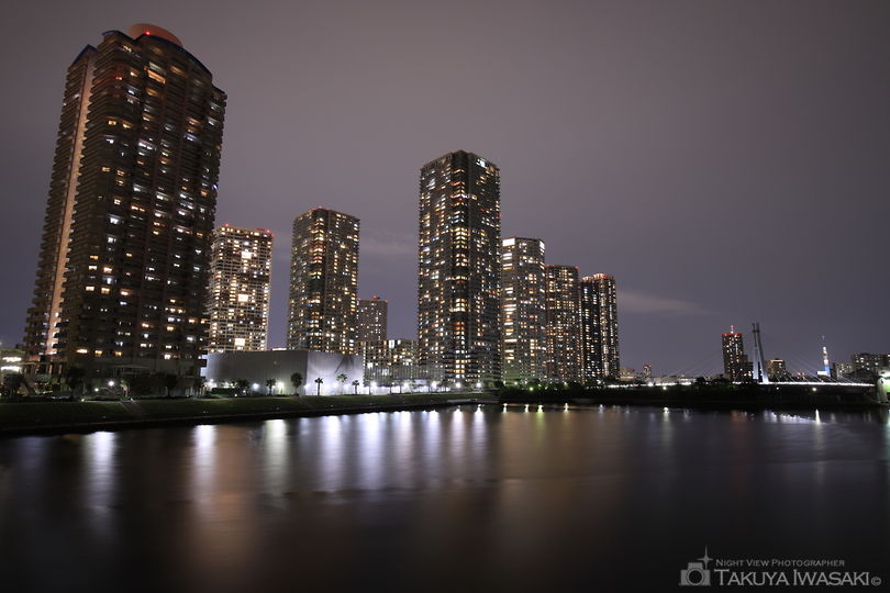 新辰巳橋の夜景スポット写真（1）