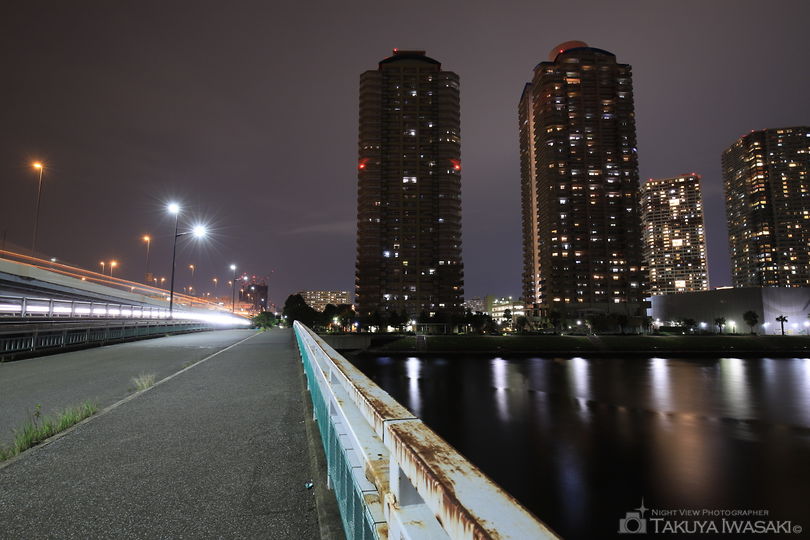 新辰巳橋の夜景スポット写真（2）