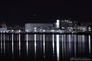 ソラムナード羽田緑地の夜景スポット写真（1）class=