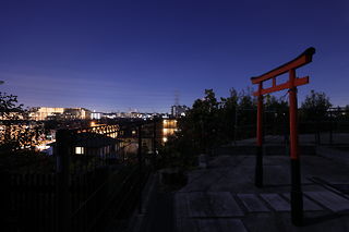 日吉本町5丁目　鳥居の夜景スポット写真（3）class=