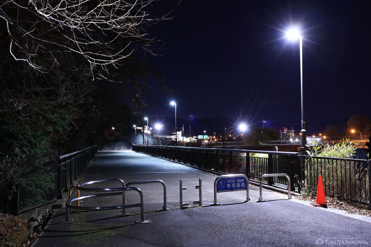 鶴の里歩道橋の夜景スポット写真（5）