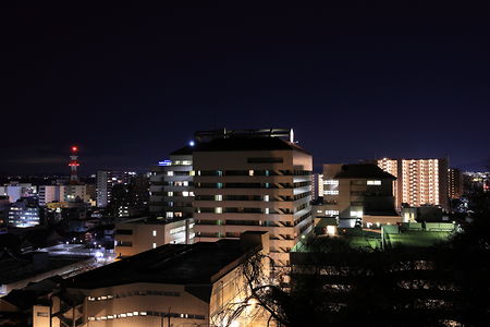 高観音近松寺の夜景スポット写真（2）class=