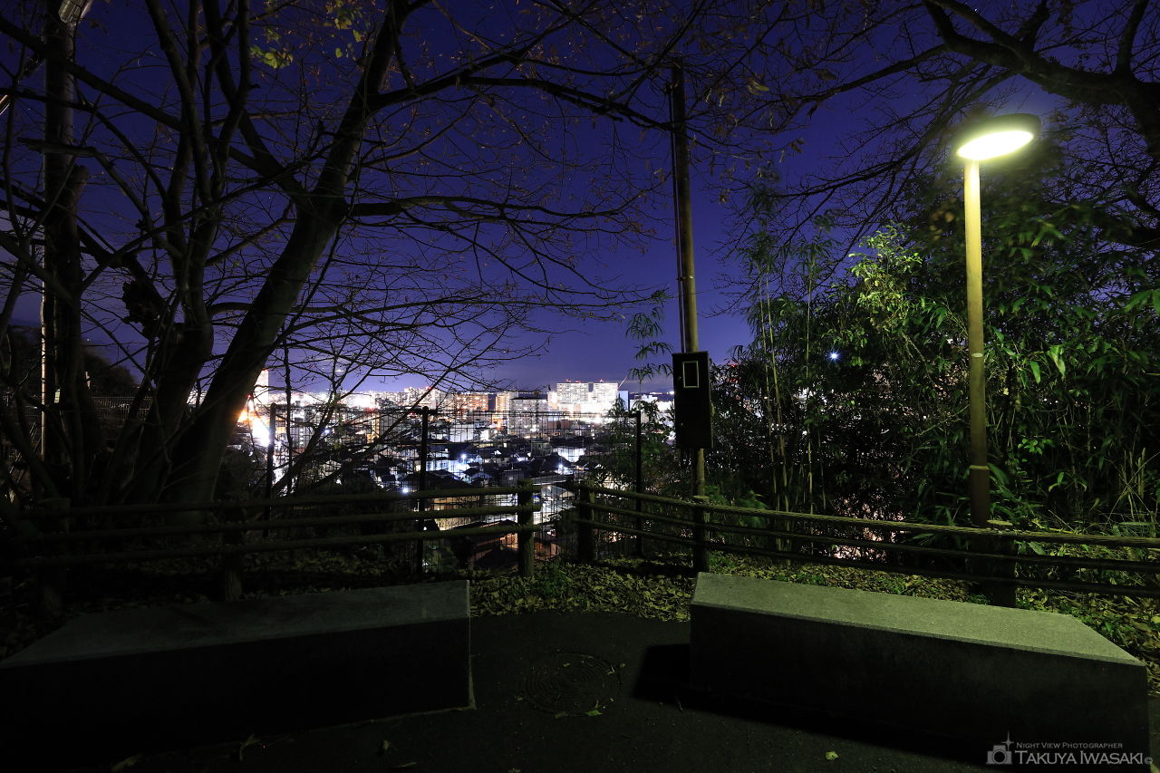 高観音近松寺の夜景スポット写真（4）