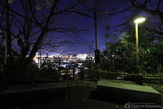 高観音近松寺の夜景スポット写真（4）class=